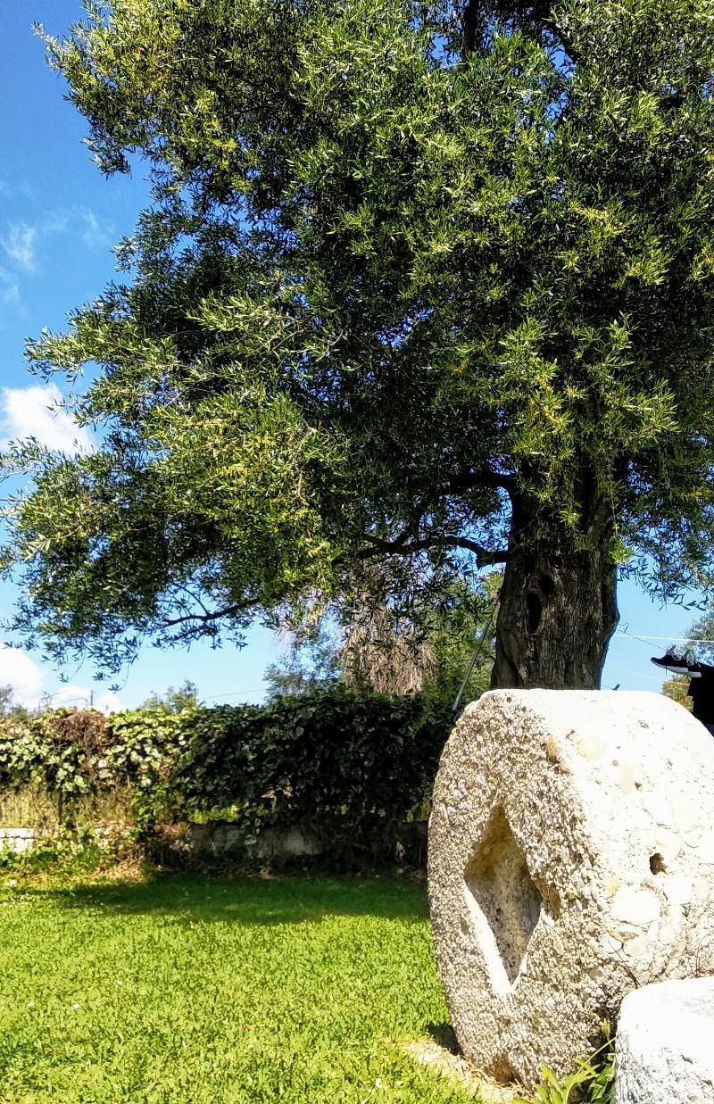 Ever Green Κάβος Εξωτερικό φωτογραφία